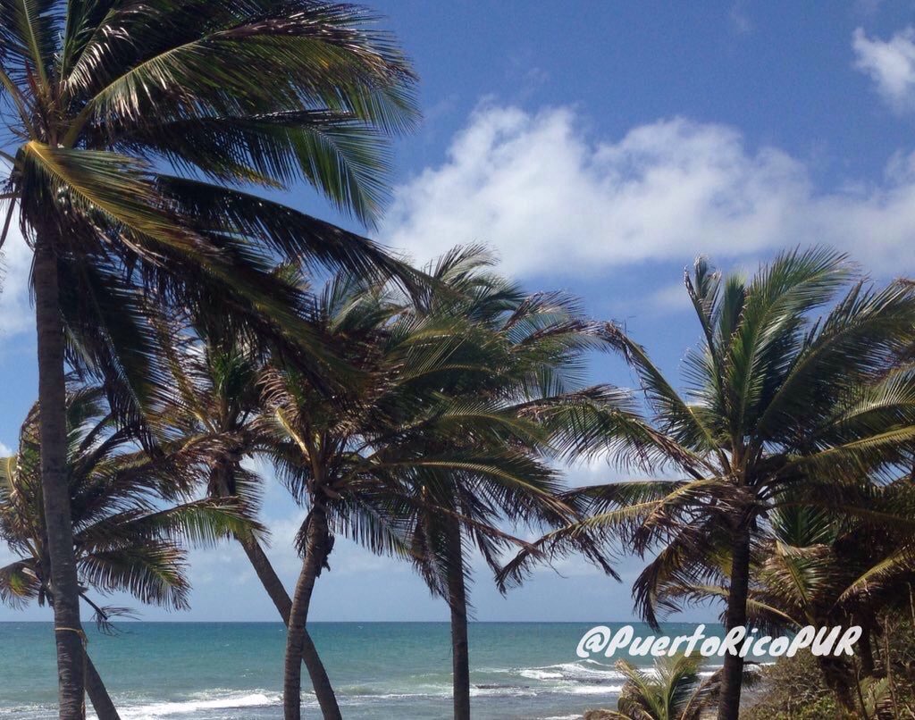 PuertoRicoPUR's tweet image. Good Morning from Puerto Rico! 🌴🇵🇷