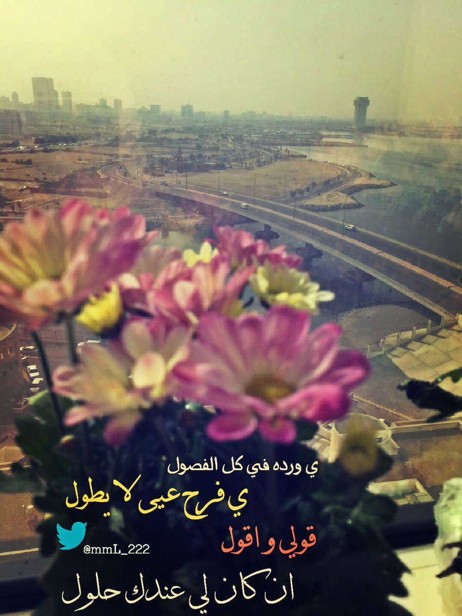 ﺂلحــــﺟﭑزﯤ♪ tweet media
