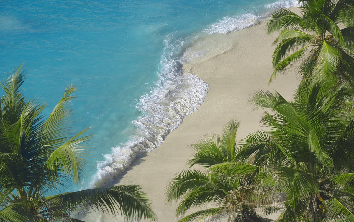 TelegraphTravel's tweet photo. Why the #Seychelles are the most beautiful islands on Earth https://t.co/J56xsmg4iT https://t.co/uWG623XFkB