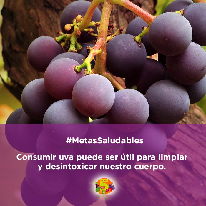 5aldiachile's tweet photo. #MetasSaludables consumir uva puede ser útil para limpiar y desintoxicar nuestro cuerpo. https://t.co/kbxMQBPUVX