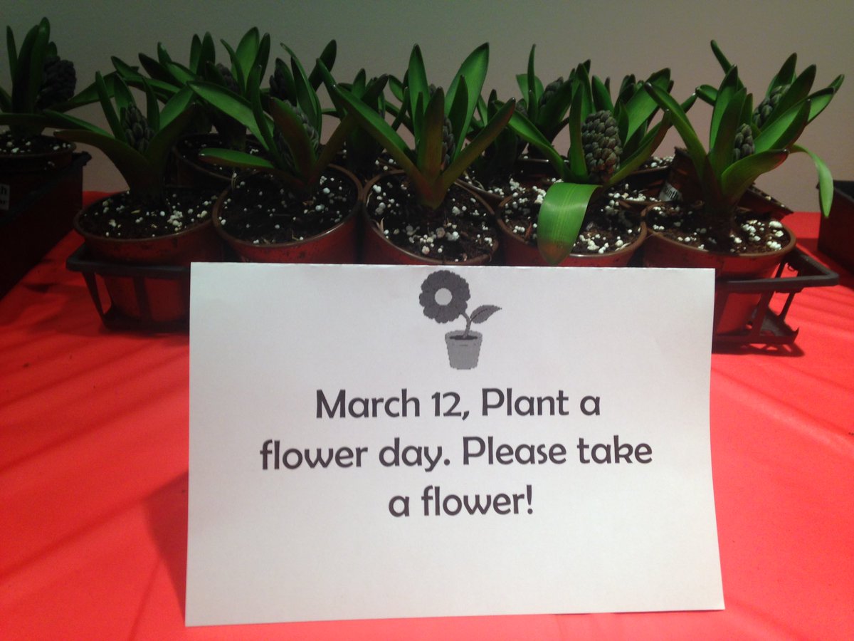 clementkate's tweet photo. The Corporate Office getting ready for Plant a Flower day!! @cflane_mgmt #cflane https://t.co/daegdyKmLD