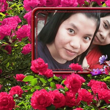 htaglung's tweet image. 