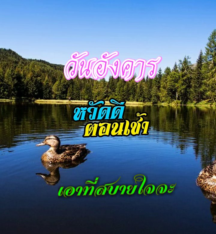 PolChayan tweet picture