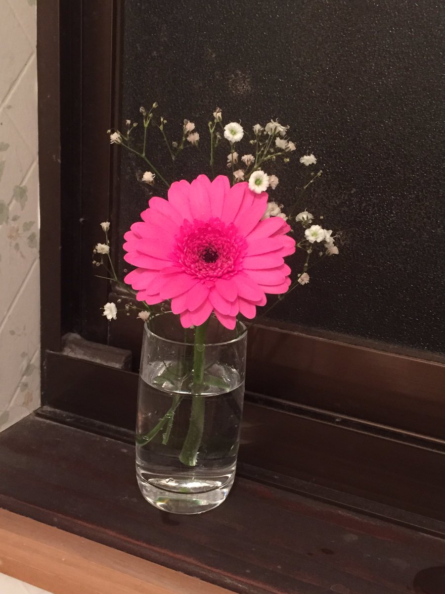 トイレのお花仲間