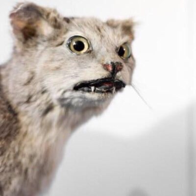 When you hear someone chewing with their mouth open and you're resisting the urge to punch them in the throat...