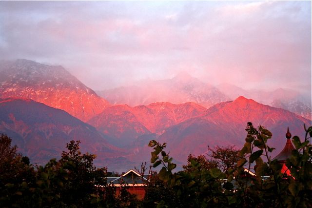 IndianNature's tweet photo. Delightful Dharmasala. https://t.co/PZwkOaxZTw