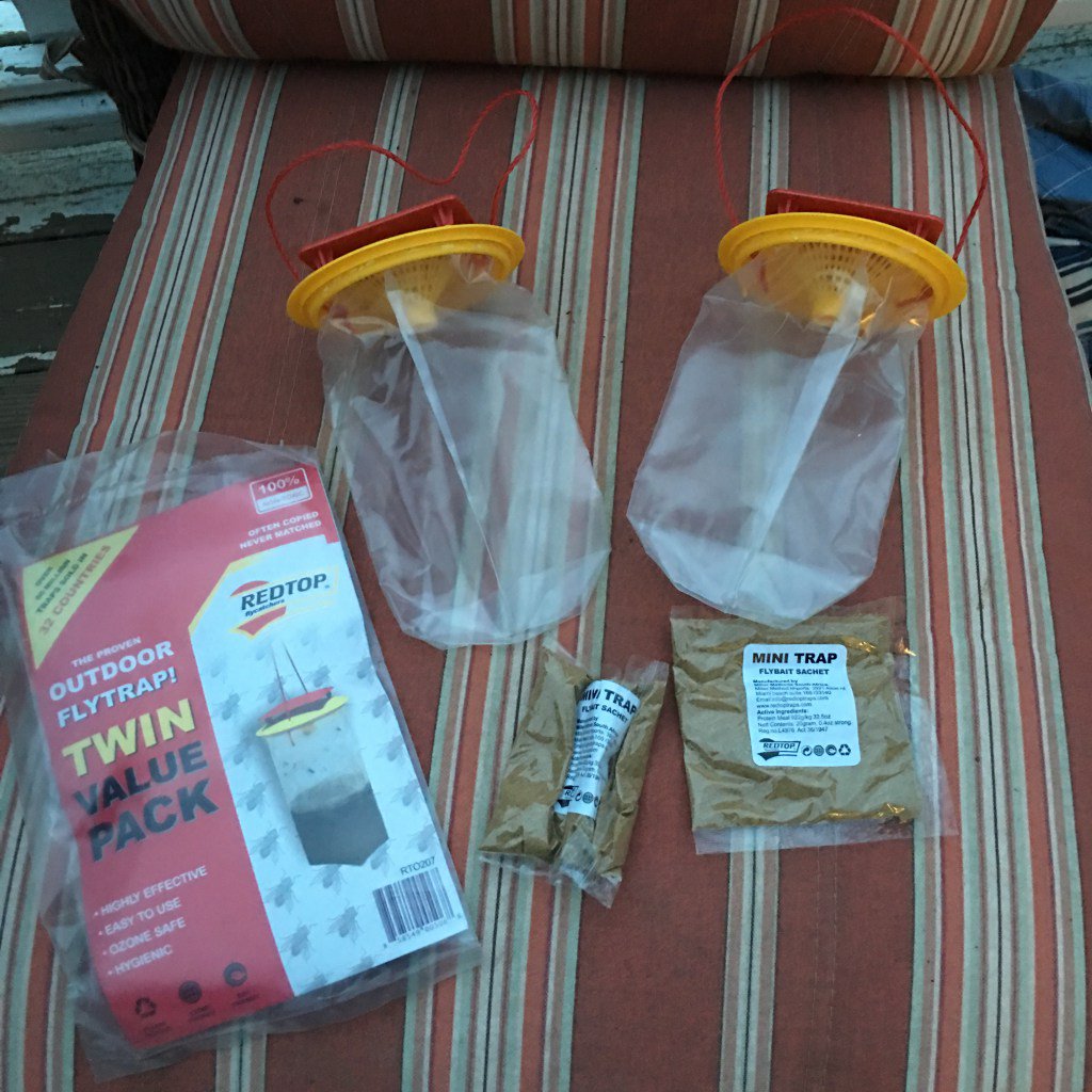 AmandaRockne's tweet photo. REDTOP fly catcher https://t.co/iCVDhjw9IU https://t.co/qIUU9mkQbQ