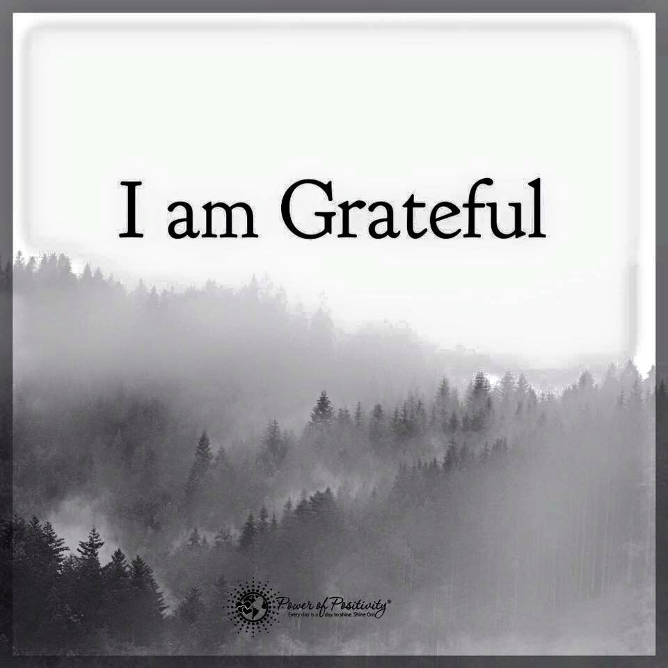 gary_hensel's tweet photo. https://t.co/eGk3Z2PoFc