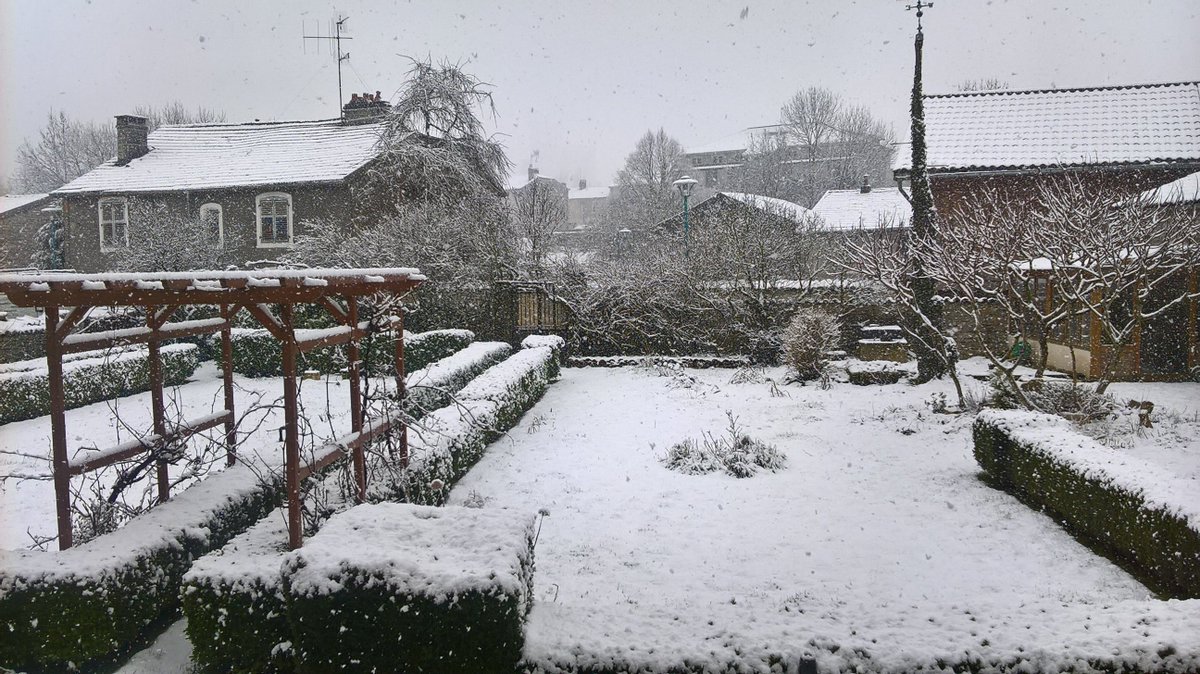 blogosophy's tweet photo. This is what the garden looks like right now... Love the snow! https://t.co/XrNS7kS4KF
