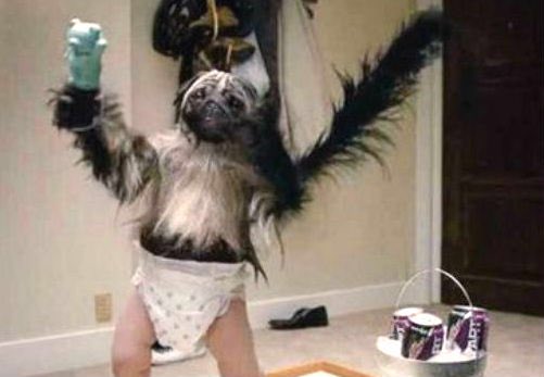 thatH2Oschool's tweet photo. Rumor has it: Richard Carmona does not like the Puppy Monkey Baby. https://t.co/Y5RVxoUfaq