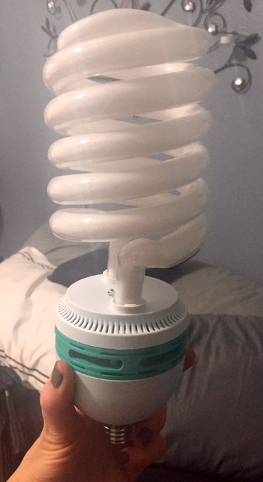 Omg this is the largest light bulb I've ever seen lol https://t.co/HM7RrXvUdC<a href="/tag/las_vegas"class="tags"><span>#las_vegas</span></a>