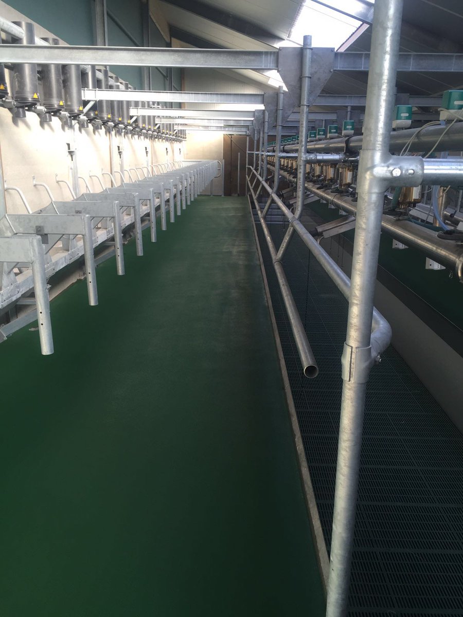 PiersmaV's tweet photo. Vandaag hebben wij in deze prachtige #GEA 2x26 #pollux2 #swingover #melkstal onze #DIBA 230 Troffelvloer toegepast. https://t.co/vcwNe3EEtk