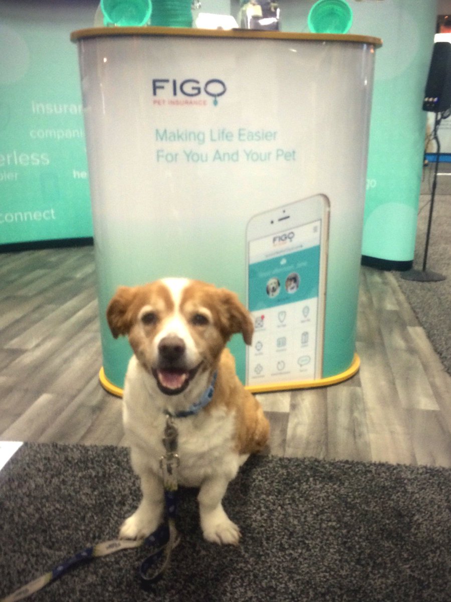 Jake @dogbonemarketin stopped by the booth to greet the Figo team at the #WesternVeterinaryConference