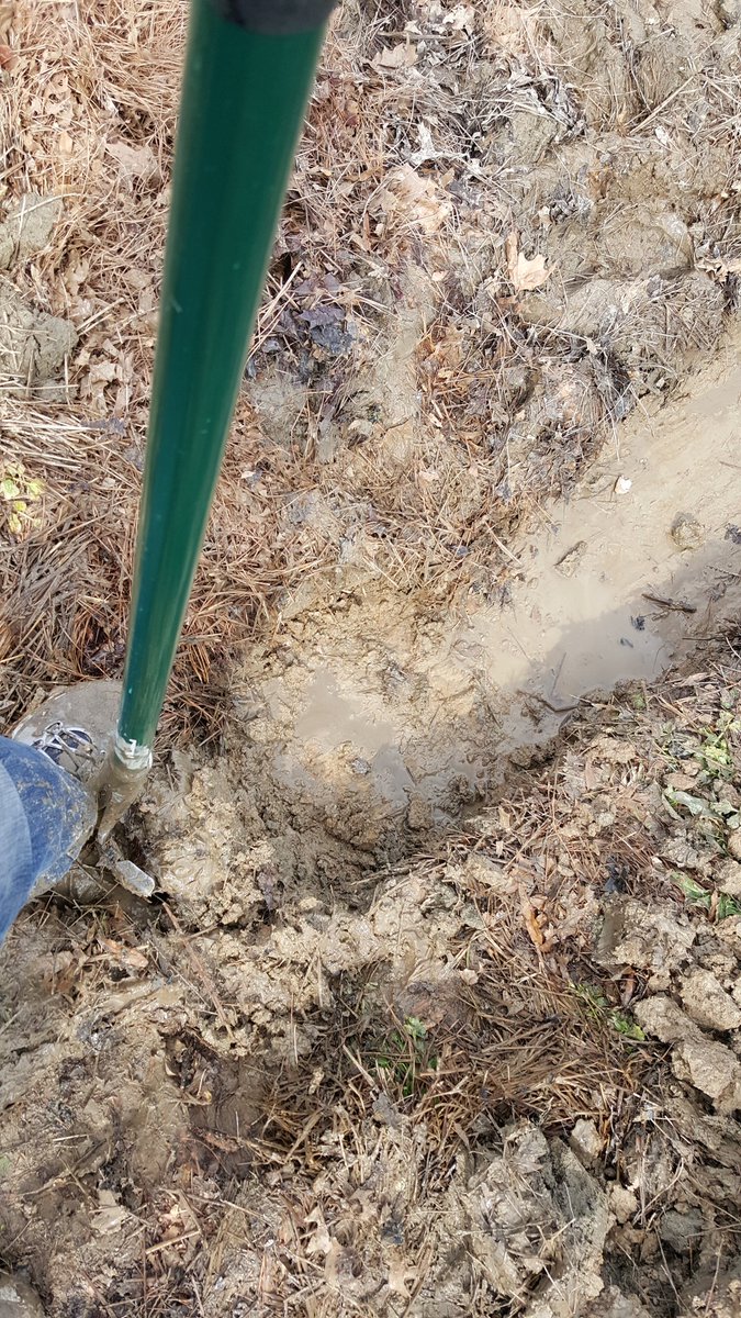 GMSgabrielAIGCS's tweet photo. In the trenches with Amber (REDteam) and Wes (@RootsMemphis).  #ditchdigging   #gmsasb2016 https://t.co/X4l61ZcWaX