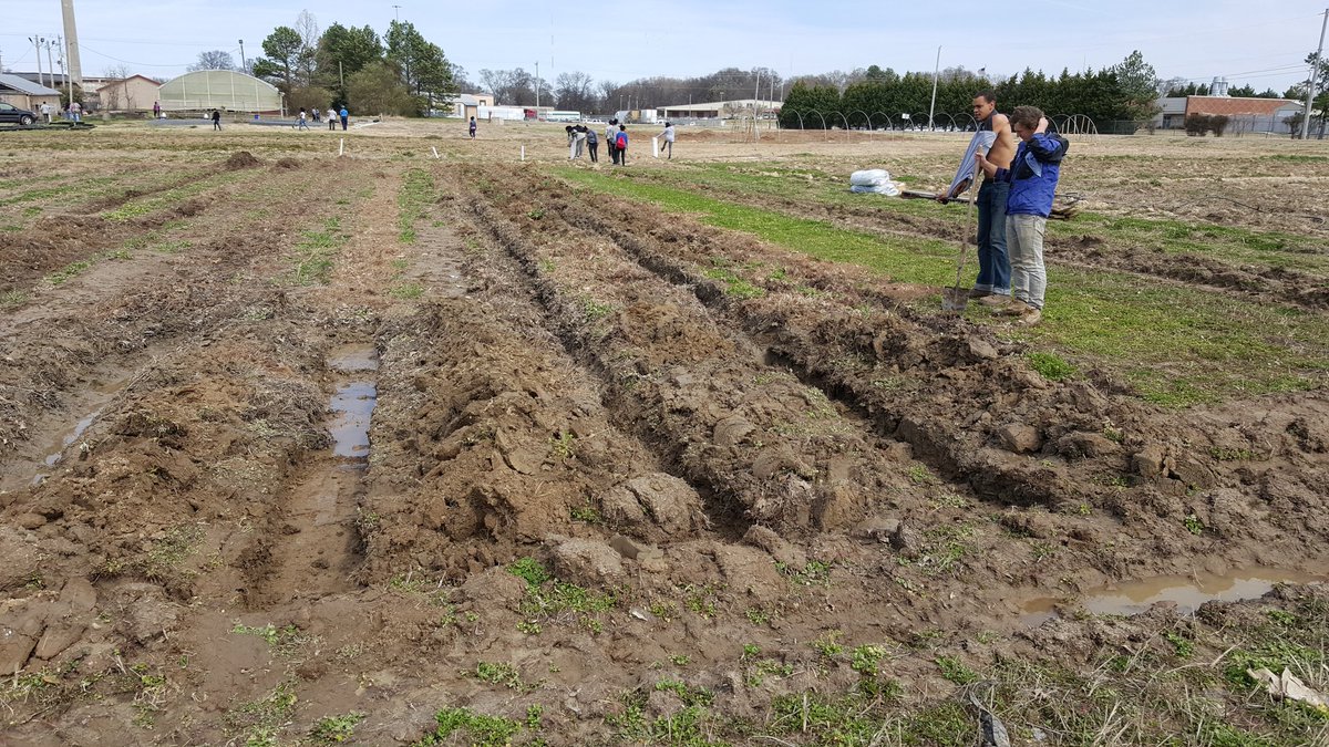 GMSgabrielAIGCS's tweet photo. In the trenches with Amber (REDteam) and Wes (@RootsMemphis).  #ditchdigging   #gmsasb2016 https://t.co/X4l61ZcWaX