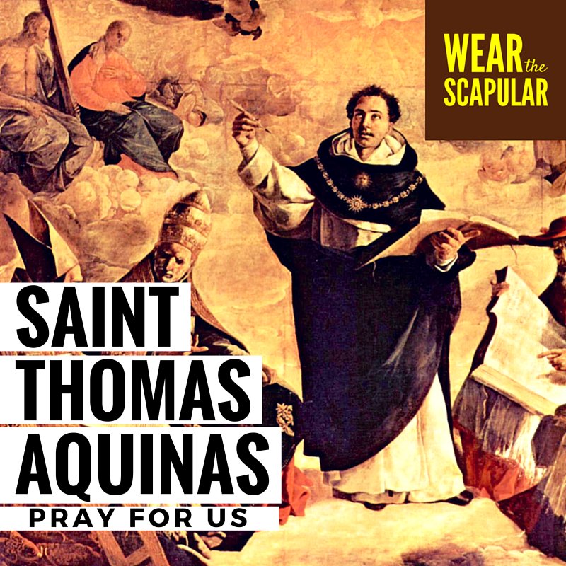 WearTheScapular's tweet photo. Today is the feast of the Angelic Doctor, St. Thomas Aquinas. Pray to him that we might remain close to the truth. https://t.co/TdGx1AuAoM