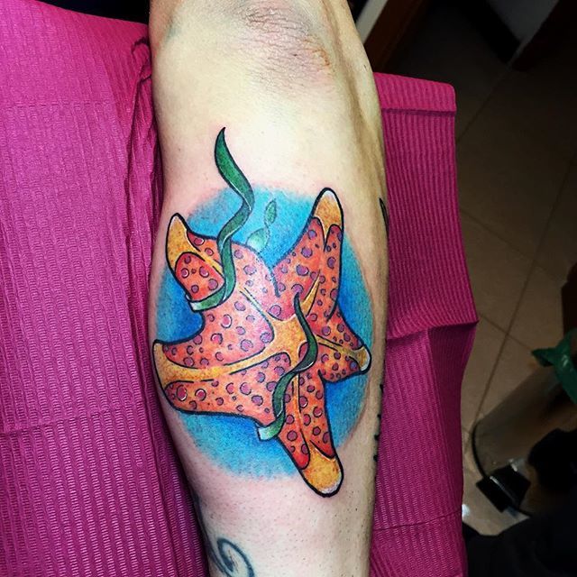 Starfish Tattoo Design Images Starfish Ink Design Ideas  Starfish tattoo  Star tattoos Tattoo designs