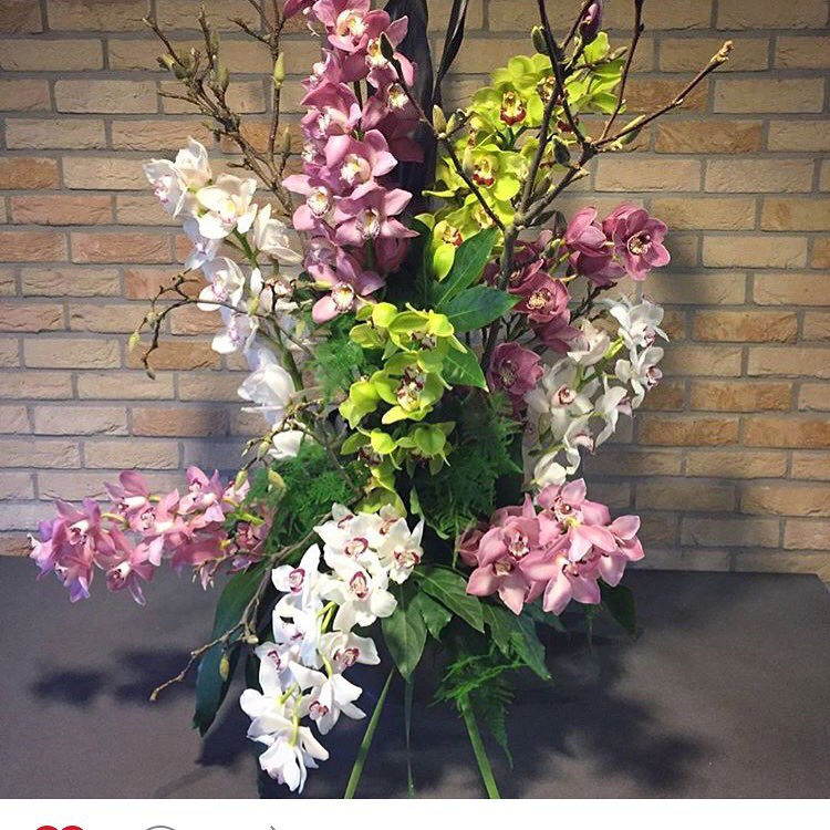 #exclusive #cymbidium #flowers for #MiddleEast #mothersday