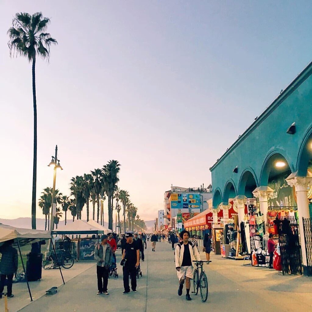 tmbIrpics's tweet photo. Venice Beach https://t.co/18vEi60Drq