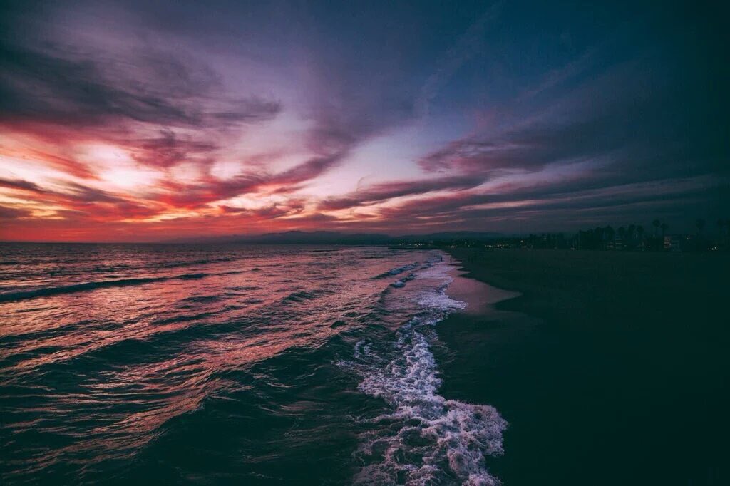 tmbIrpics's tweet photo. Venice Beach https://t.co/18vEi60Drq