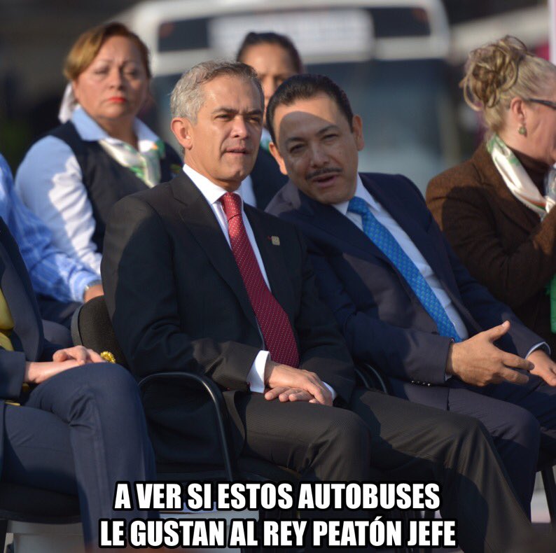 Pasotti tweet media