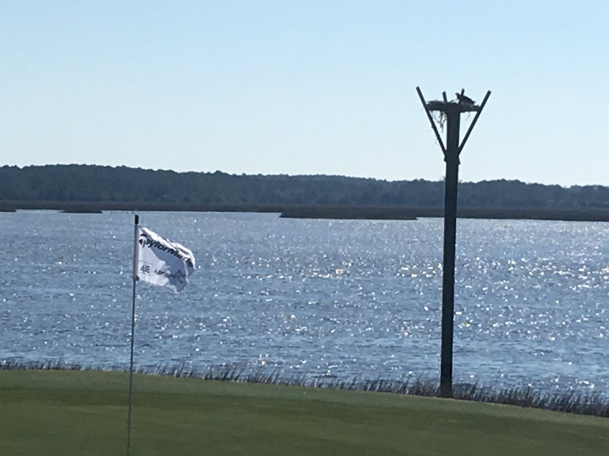 Gorgeous views <a href="/DatawIslandSC/">Dataw Island</a> for #TMaGDataw <a href="/BirdieFireGolf/">BirdieFire</a> Cotton Dike Course #9 #OWUGolf