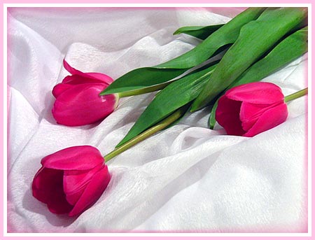 Tim_Filin tweet picture