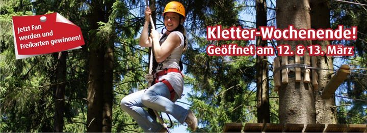 TreeRock (@treerocksolling) on Twitter photo 