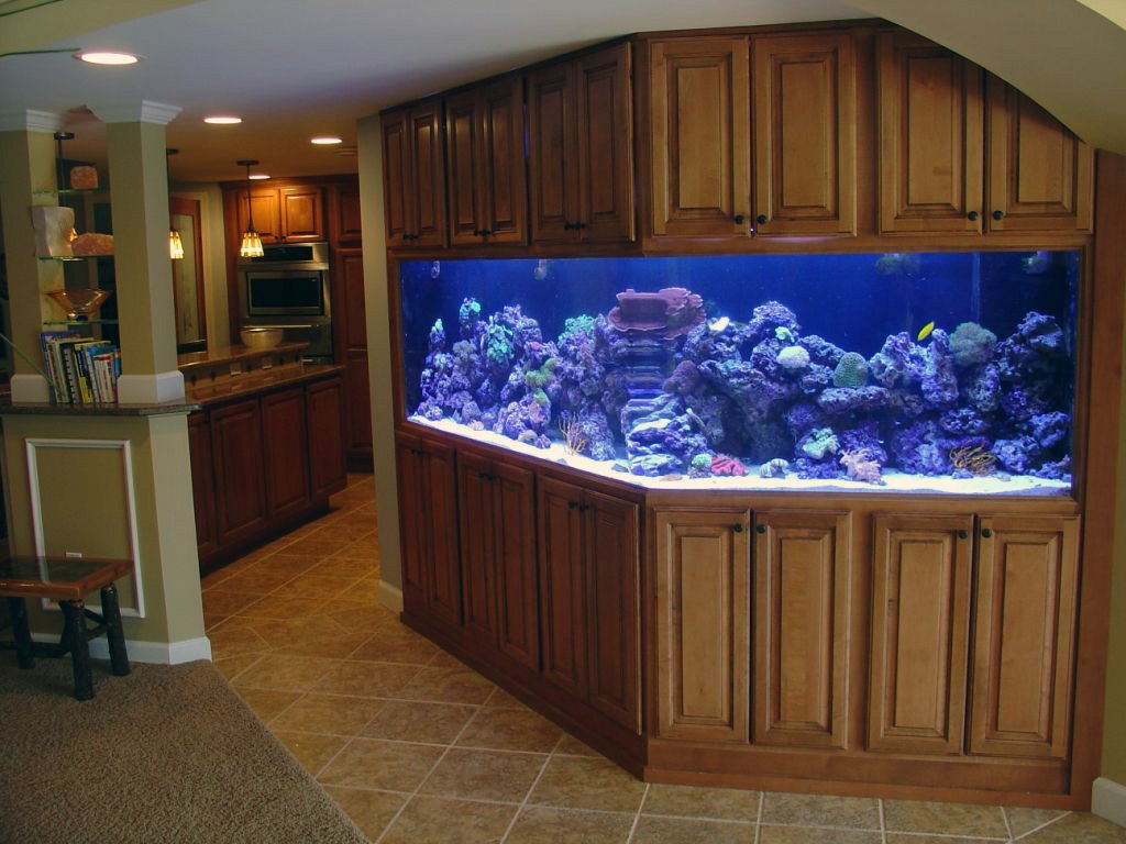 Reef Aquarium Design sumo.ly/goQu