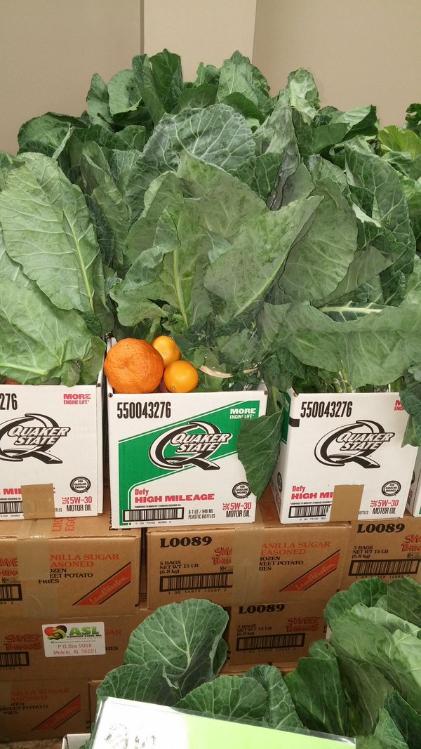 .<a href="/AServantsLove1/">A Servant's Love, Inc.</a> and <a href="/dayspringbc/">Dayspring Baptist</a> connect local seniors with healthy produce: bit.ly/1pu96Gr