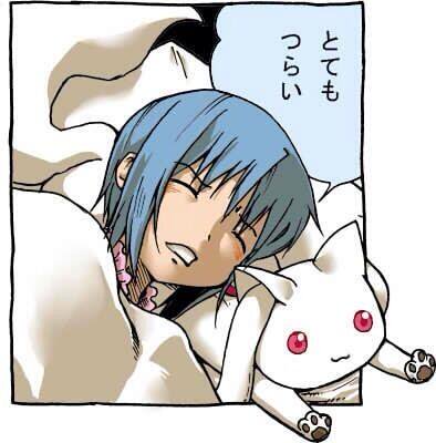 さやかの日ですと? 