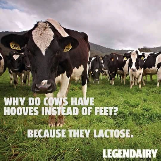 artexmfg's tweet image. 