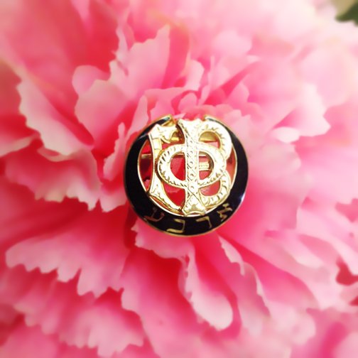 Gamma Phi Beta on X: "We love all the badge photos! Keep them coming!  #BadgeDay16 https://t.co/iGK82pgzH7" / X