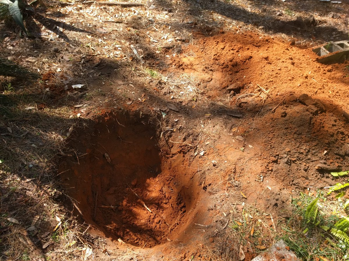 DavidWitman1's tweet photo. I dug a hole! #treeplanting #crabapple #spring https://t.co/0M6Tkravhn