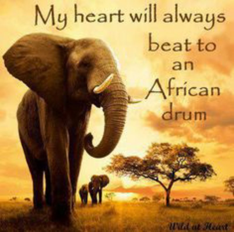 ElainMcD's tweet photo. #Always 
#Altyd https://t.co/CpGeRYwOm9