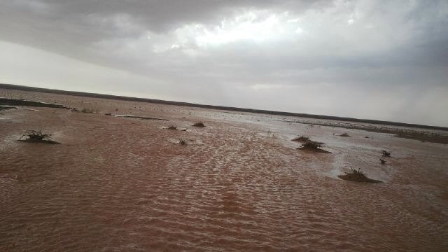 msggjcddh's tweet photo. من تصويري اليوم 
#الزبيرة 
الموافق 1437/5/27هـ https://t.co/UbDLPIbnuc