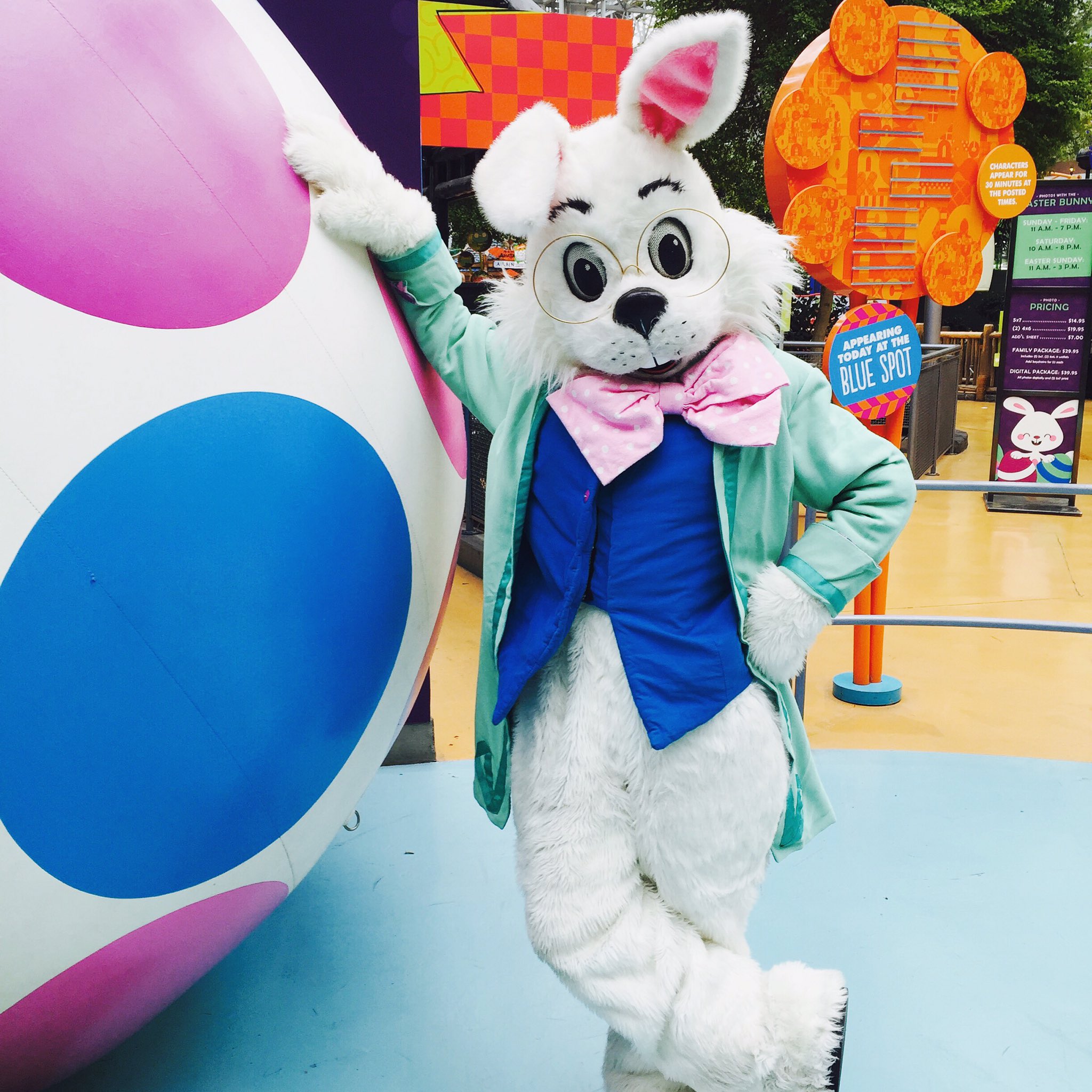 Collection 92+ Pictures Easter Bunny Pictures In The Mall Latest