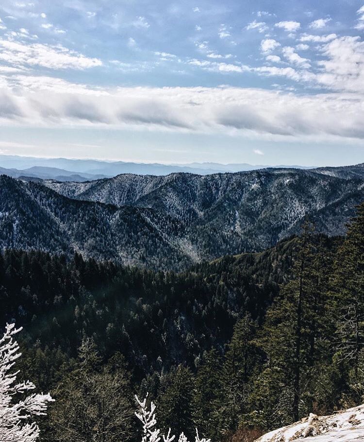 Good afternoon #Tennessee This view is from #mtleconte 📷 by @ellieholz 
#InstagramTennessee #gsmnp #SmokyMountains