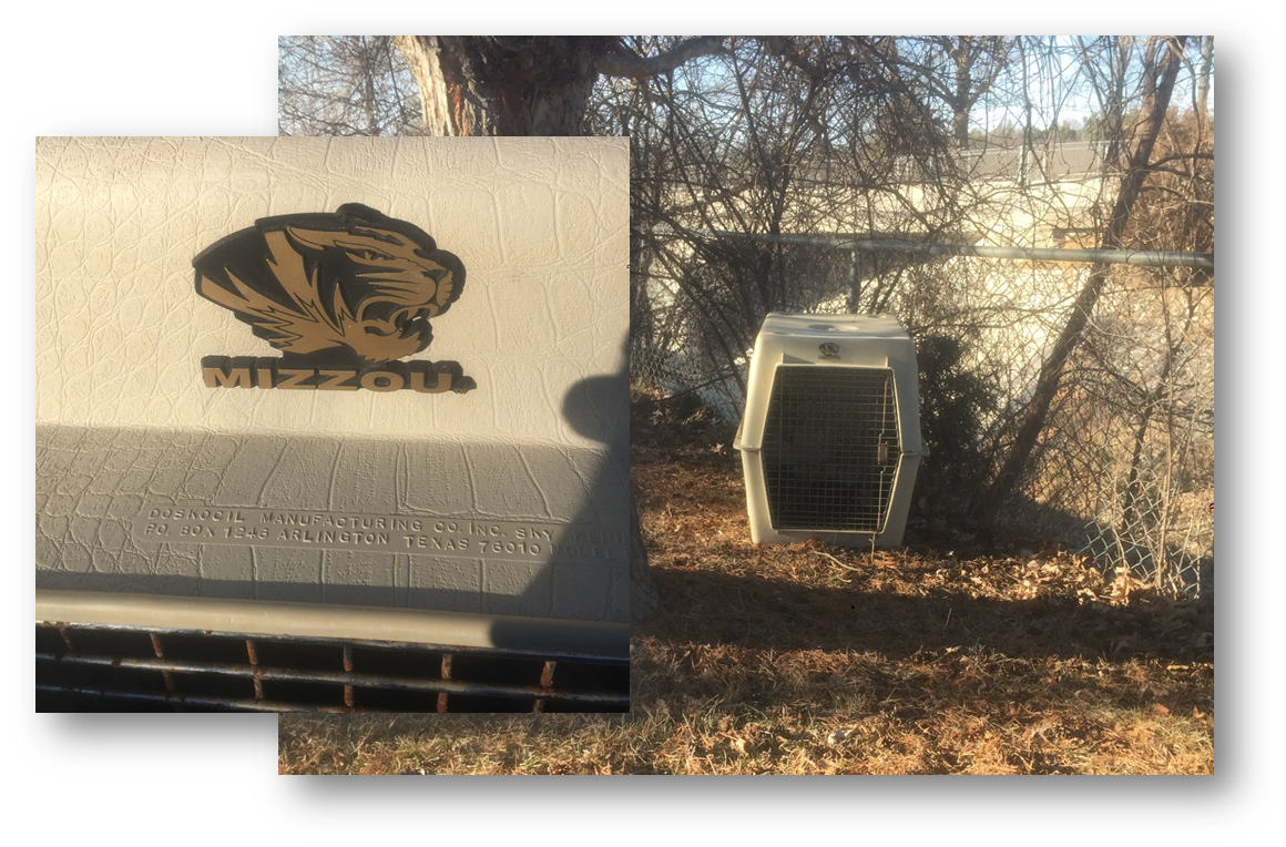 Lincoln_Police's tweet photo. Young black lab left to starve to death in this kennel. Submit any info to Animal Control or @LNKCrimeStopper. https://t.co/U0rz1AdXhw