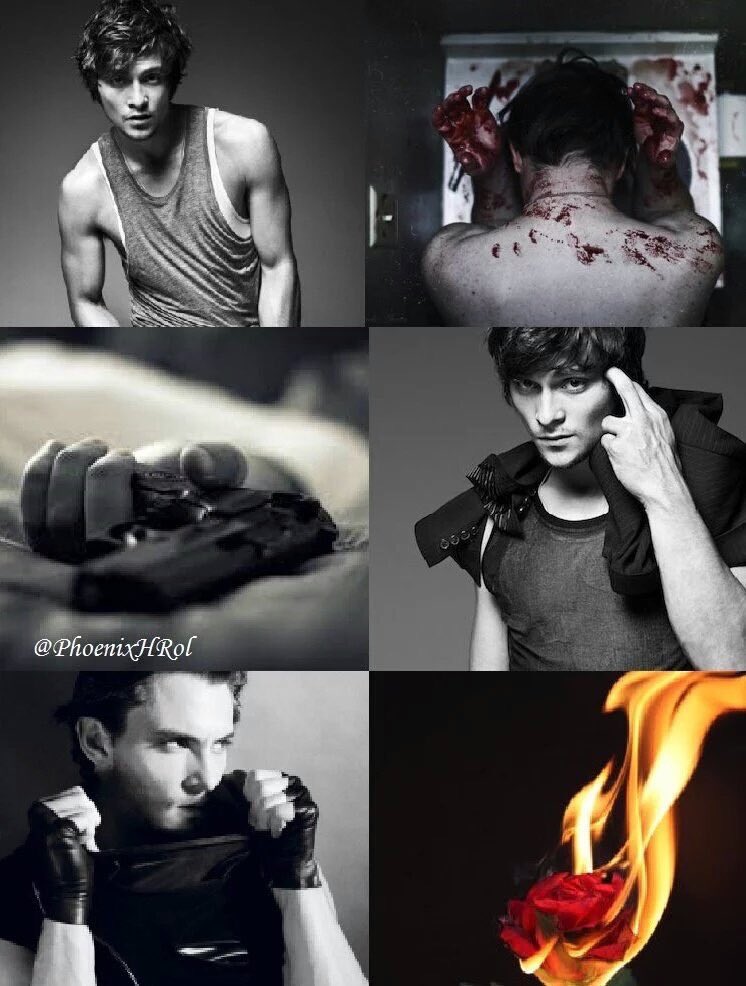 Sophie Lefroy tweet media