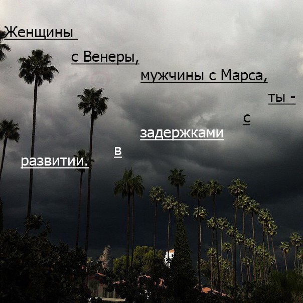 RomashkaLo's tweet photo. https://t.co/M0FBoLbw5L