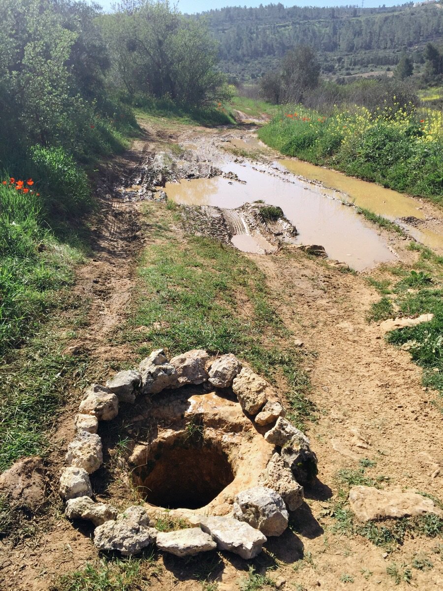 ZoSLoot's tweet photo. All my instincts tell me to jump in! - 
https://t.co/JkplThlk4l https://t.co/CUtIWWsUsH