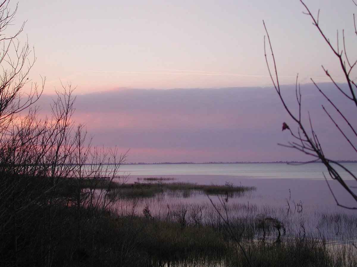$2.8 million would bring a new visitor center/museum to Pettigrew State Park w/ #ConnectNC: 1.usa.gov/1T6dHeg