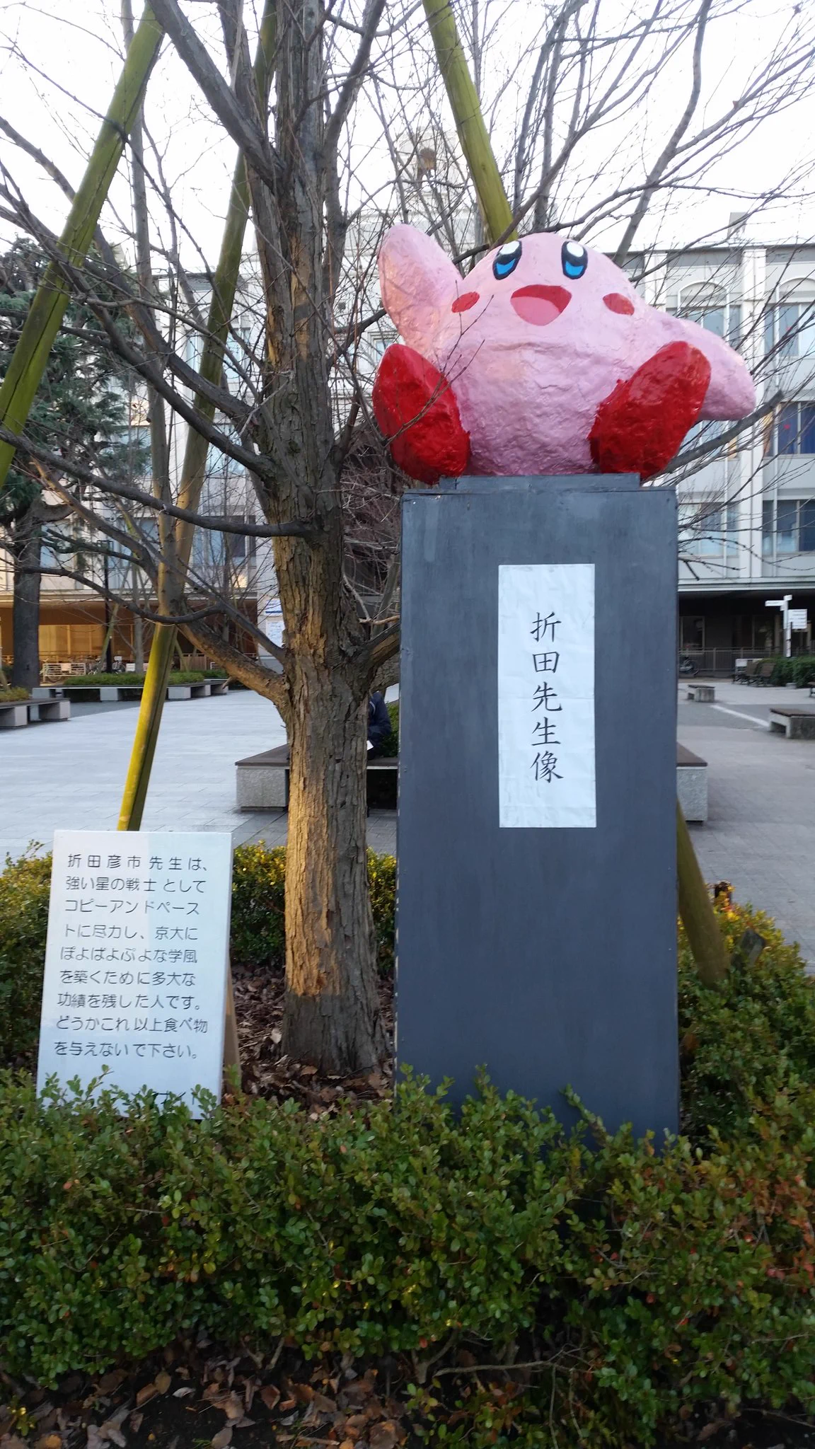 頭のいい学生が集まるはずの京都大学が混沌としすぎている・・ｗｗ