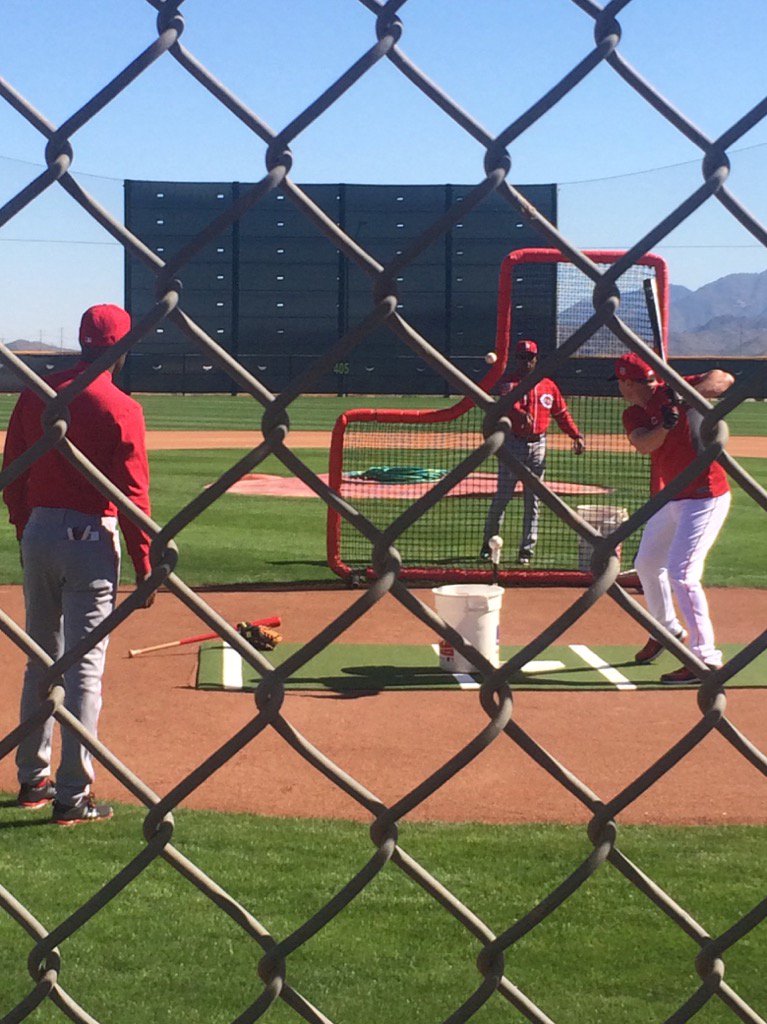 thinkpitch's tweet image. @BarryLarkin @EricDavis3344 stay late to work with Jay Bruce. Good work habits never die.