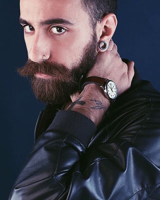 BeardsNTattoos's tweet photo. Mario https://t.co/AvllDGB9t4