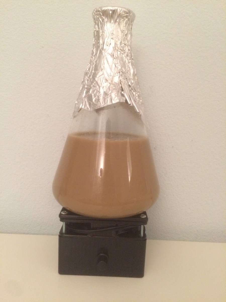 Wake up little guys, time to eat.