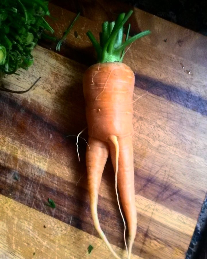 LocalAcres's tweet photo. Real food packs a little extra somethin', somethin' #realfood #carrotporn #locawesome https://t.co/5dLXfGALmF