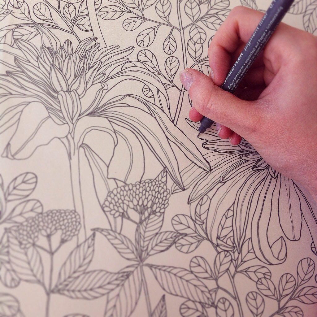 ✏️✨✏️✨✏️✨✏️