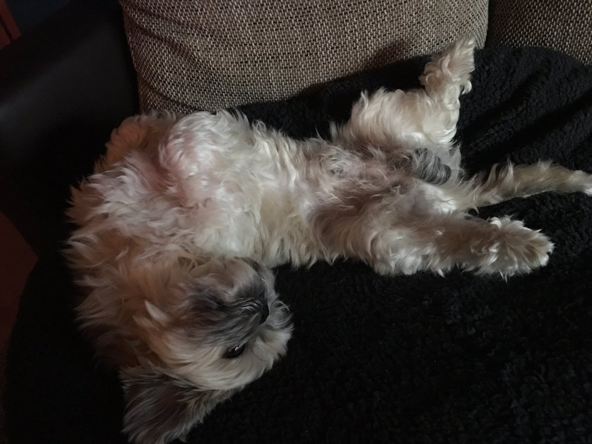 Herr_Currywurst's tweet image. Hmm @MafuyuX